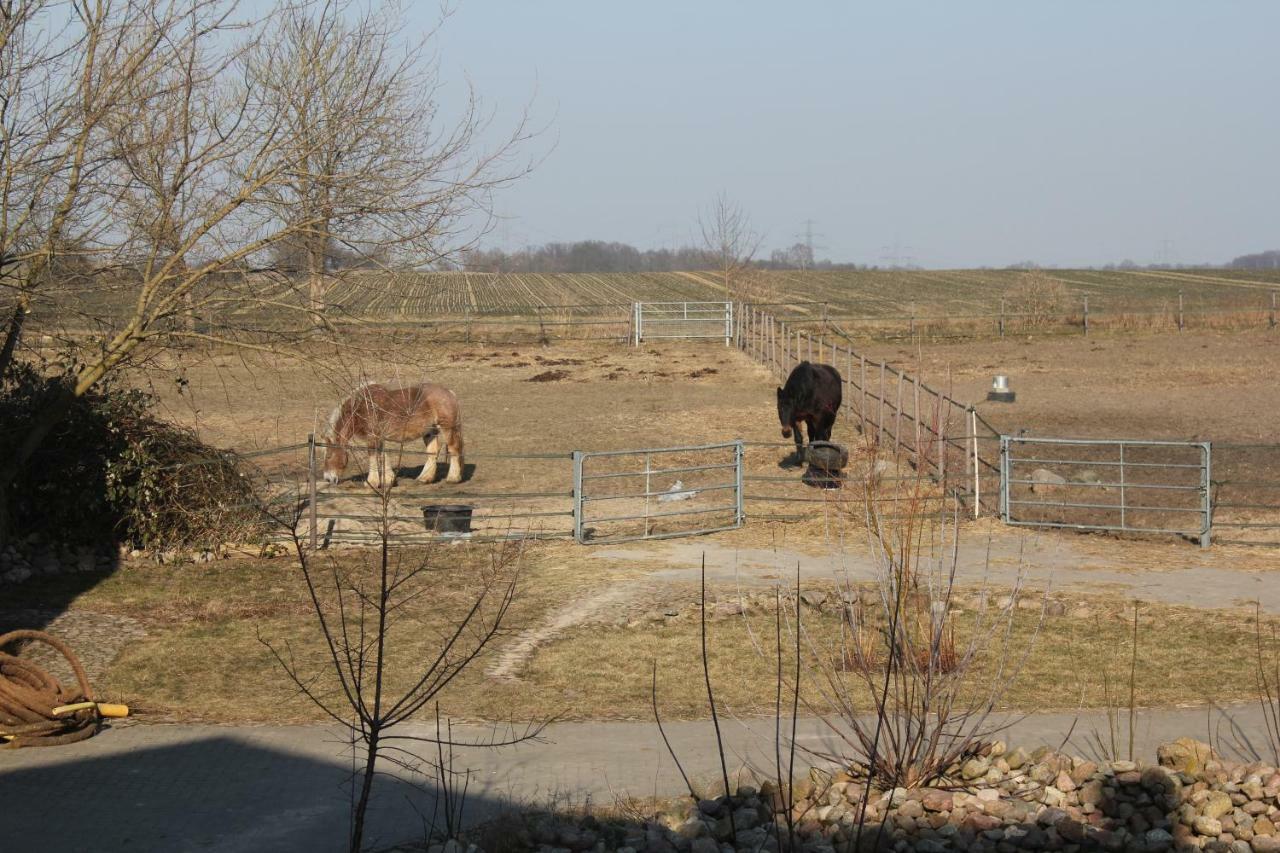 Ferienwohnung Pusteblume Steinhofel 外观 照片